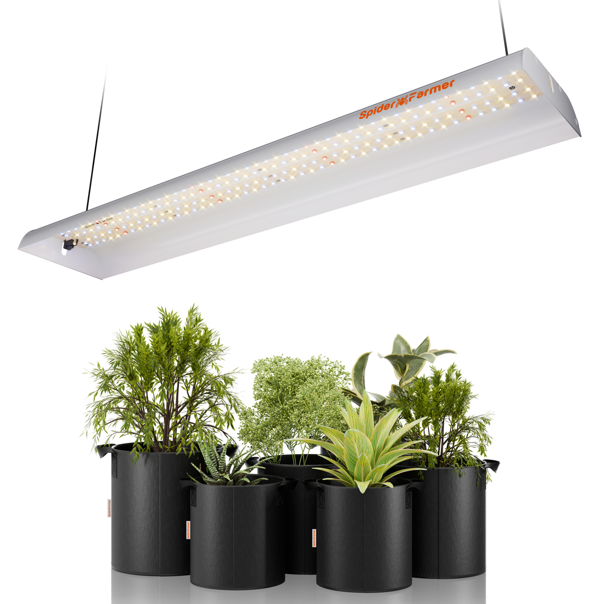 Spider Farmer SF300 33W LED plant lamp for seedlings, vegetation and flowering