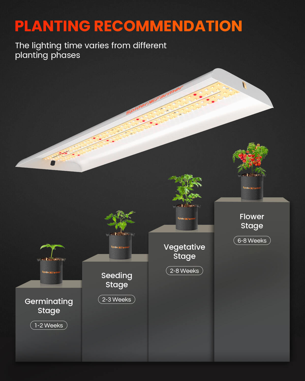Spider Farmer SF300 33W LED plant lamp for seedlings, vegetation and flowering