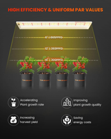 Spider Farmer SF600 74W LED plant lamp for hydroponics and indoor cultivation