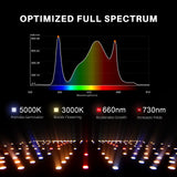 Spider Farmer® 120x60x180 cm Complete Grow Tent Kit with SF2000 301H EVO Full Spectrum LED Plant Lamp