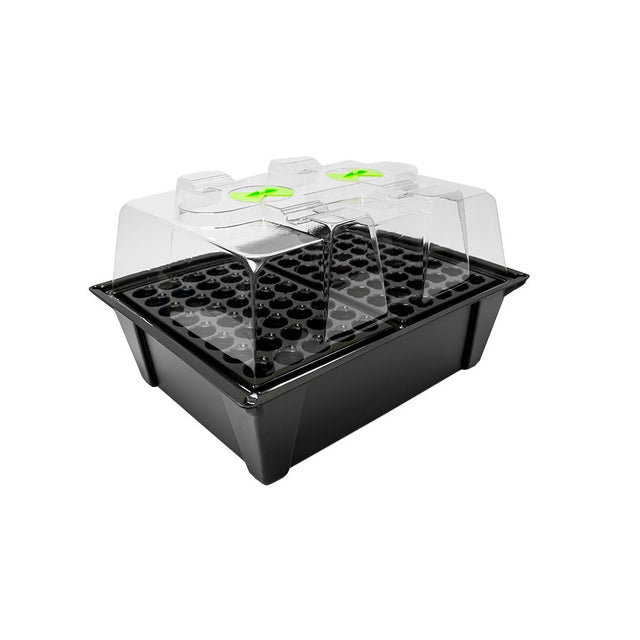 NutSystems X-Stream 80, aeroponischer Propagator - Growshop360