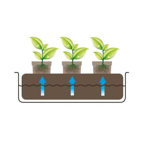 Autopot Kokosmatte + Wurzelkontrollfolie - 51x30x3 cm - Growshop360