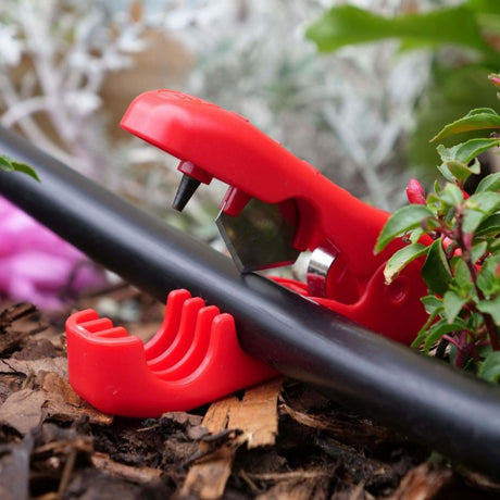 Rohrschneider KLIP - Growshop360