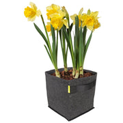 Garden High ProPot Textiler Blumentopf mit Griffen 30x30x33 cm - 30 l - Growshop360