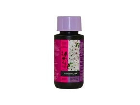 Atami B´Cuzz Boden/Hydro Blütestimulator 100 ml - Growshop360