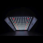 HortiONE LED 420 Quantum Board 150W 2.9 µmol/J - Growshop360