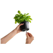 Plastkon Cobble Trio Smart Pflanzgefäß Anthrazit, 39,7x14x14 cm - Growshop360