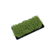 Garland Plastikschale Microgreens Tablett 56x28x3 cm - Growshop360