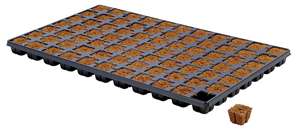 HGA Garden Eazy Plug CT77 Tablett, 53x31x5 cm - Growshop360