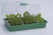 HGA Garten-Propagator 43, Hartplastik, unbeheizt, 38x24x18 cm - Growshop360