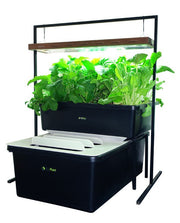 FishPlant Aquaponik Familien-Set - Growshop360