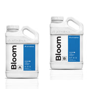 Athena Blended Line Bloom A+B 3.78 l (1 gal) - Growshop360