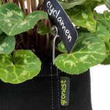 Gronest Aqua Breathe Textil-Topf 19x19x21 cm - 8 l - Growshop360
